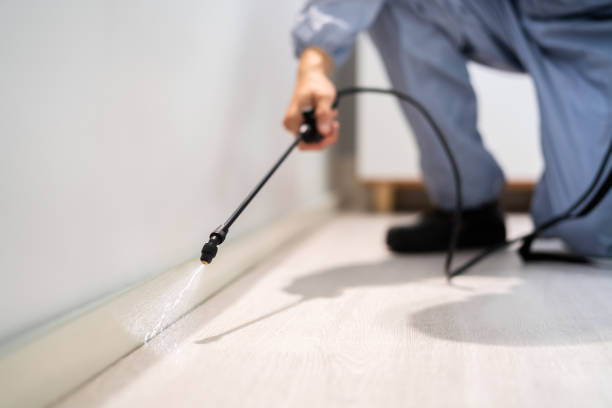 Licensed Cockroach Control service in St. Jacob, IL - Nex Pest Control