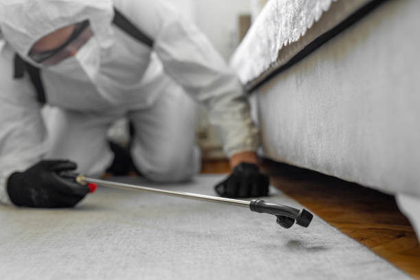 Professional Cockroach Control technician working in St. Jacob, IL