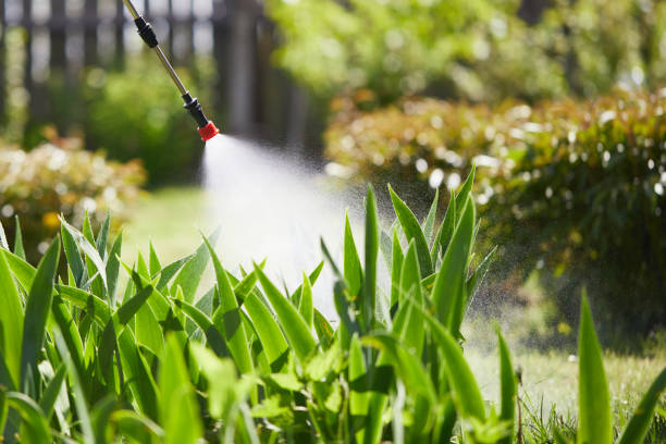 24/7 Emergency Cockroach Control experts in St. Jacob, IL