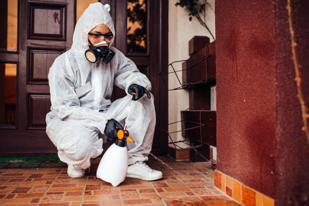 Reliable Cockroach Control contractor in St. Jacob, IL by Nex Pest Control